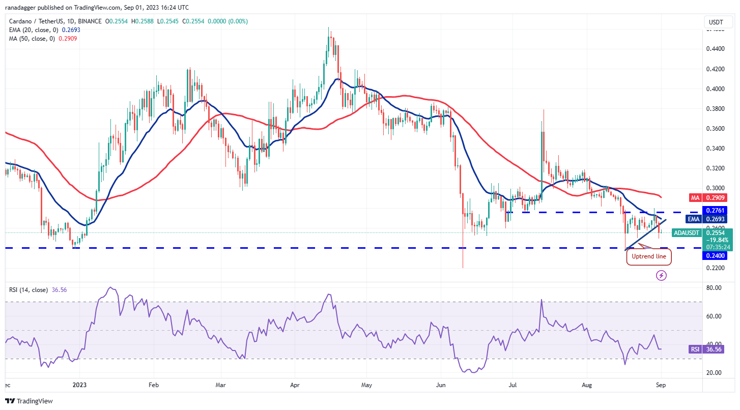 Price Review 9/1: BTC, ETH, BNB, XRP, ADA, DOGE, SOL, TON, DOT, MATIC5