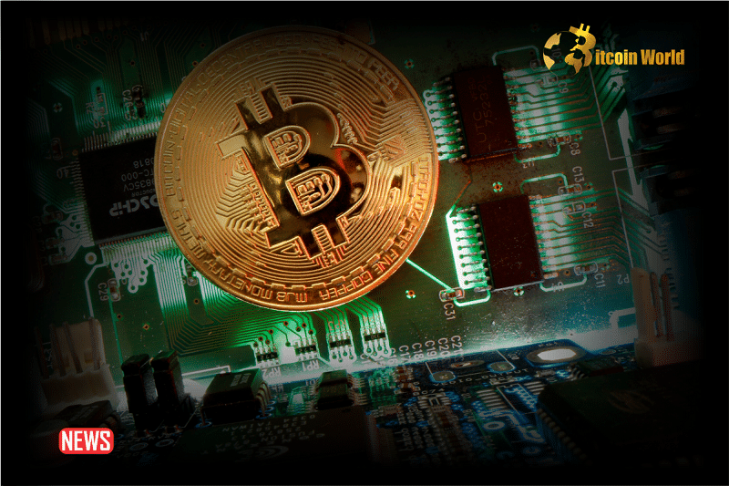 Próspera, Honduras Adopts Bitcoin as a Currency for Transactions0