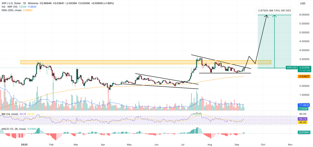 Ripple's CTO Issues Immediate Scam Alert Amid Concerns for XRP Holders0