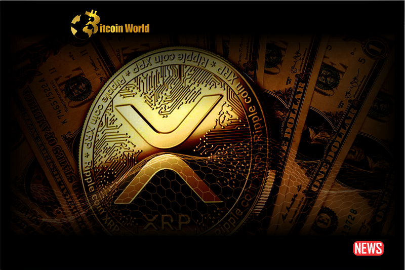 Ripple's CTO: $XRP Trading Volume Represents Four Times Its Market Capitalization Compared to Bitcoin0