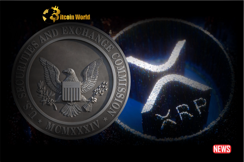 SEC at a Turning Point Following XRP Decision: Future Implications for Ripple Case?0