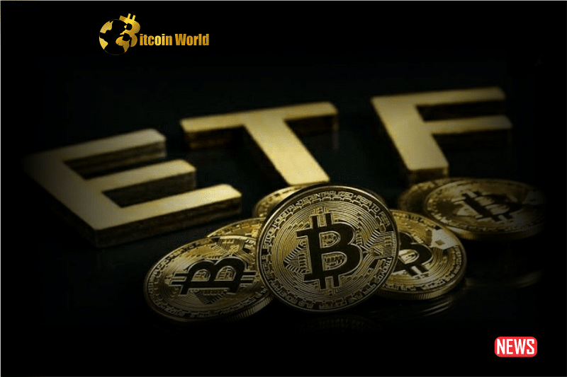 SEC Requests Feedback on Upcoming Bitcoin ETFs During Regulatory Review0