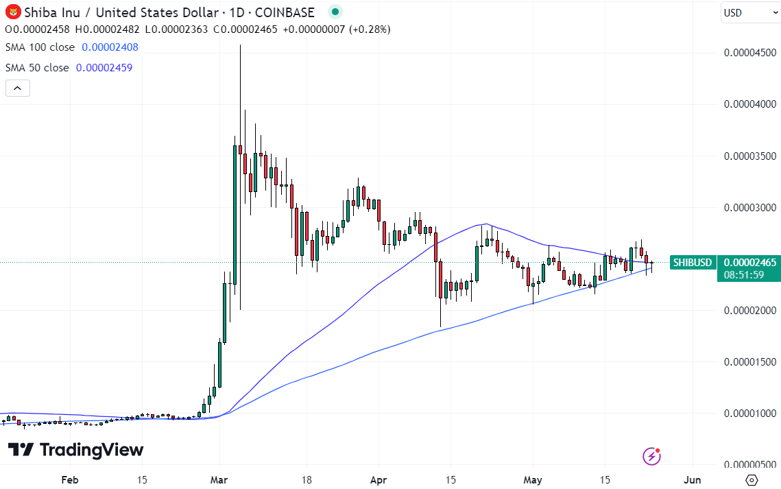 Shiba Inu Investors Redirect Capital to New Cryptocurrency Gambling ICO, Targeting 100x Returns in 20240