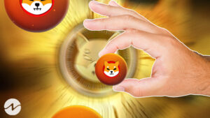 Shibarium Introduces SERP Trading Protocol on Testnet0