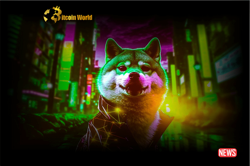 Shytoshi Kusama's Perspective: Fostering Transformation via Shiba Ecosystem0