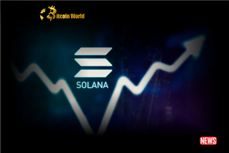 Solana: The Upcoming Cryptocurrency Leader as Per Ex-Goldman Sachs Executive Raoul Pal0