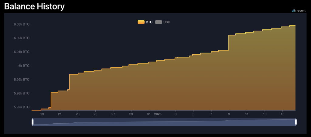 Strategic Bitcoin Holdings: Essential Information You Need to Understand0