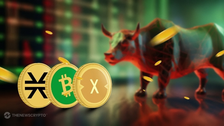 STX, BCH, and XDC Experience Significant Gains Following Positive Developments0