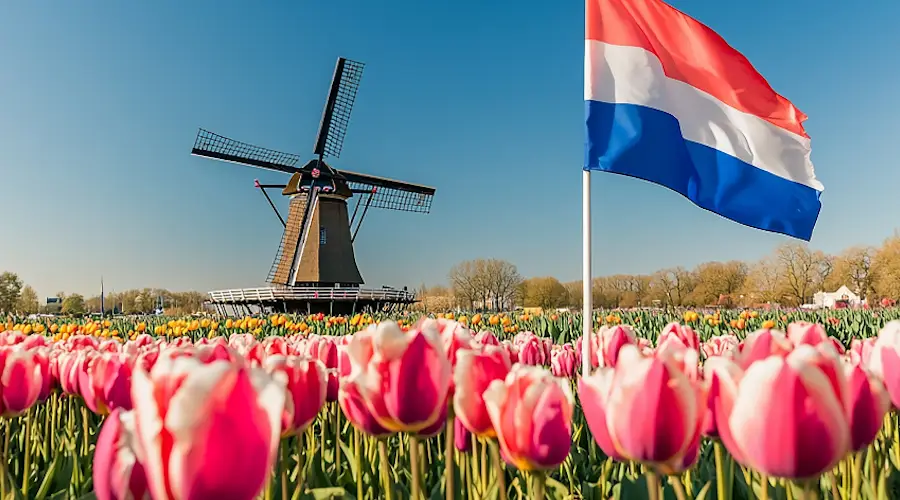 In the Netherlands, a tax on the storage of crypto assets has been introduced0