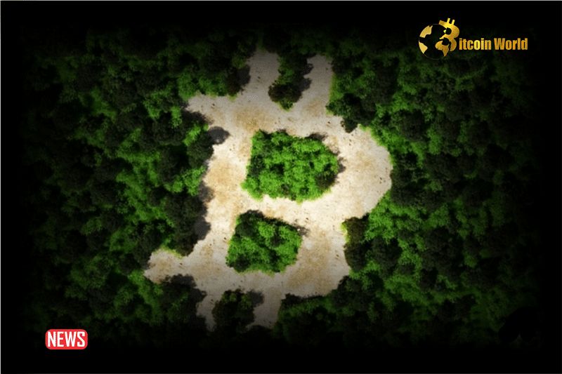 Top 10 Nations with a Sustainable Energy Composition for Bitcoin Mining0