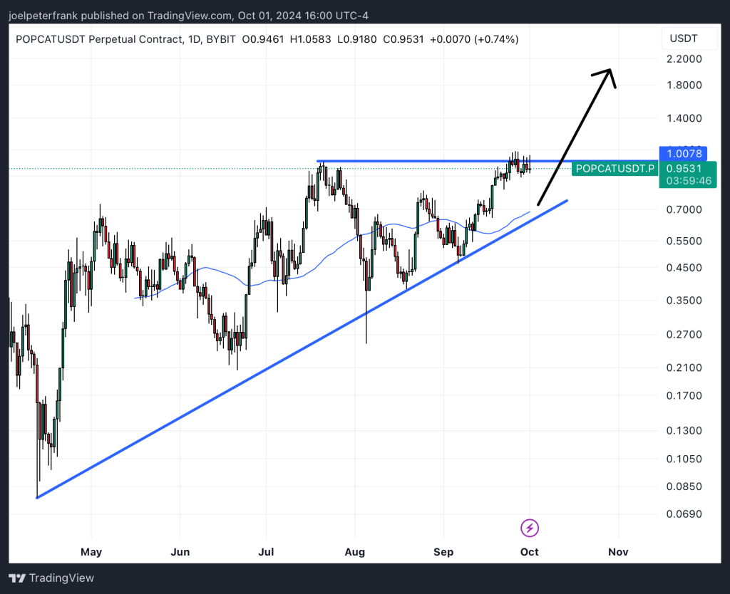 Top Cryptocurrencies to Consider Purchasing on October 1 – Popcat, NEIRO, EigenLayer1