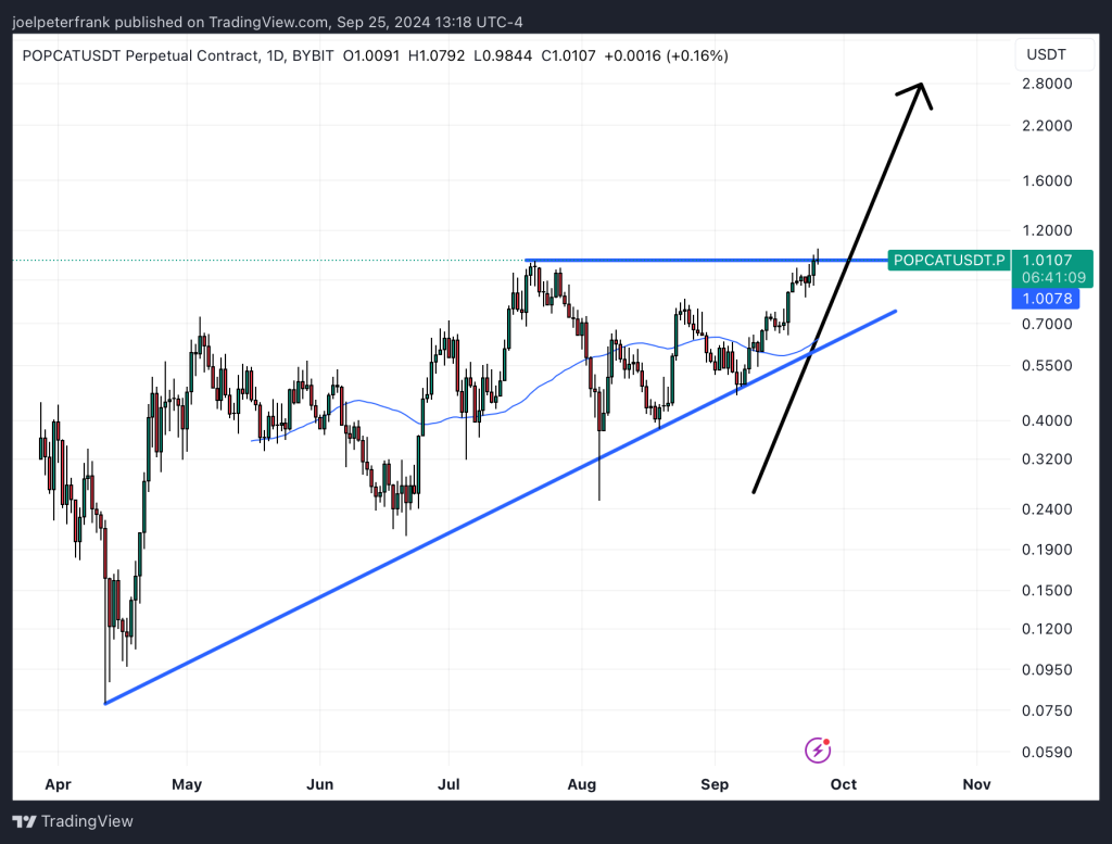 Top Cryptocurrencies to Consider Purchasing on September 25 – Sei, Popcat, Notcoin2