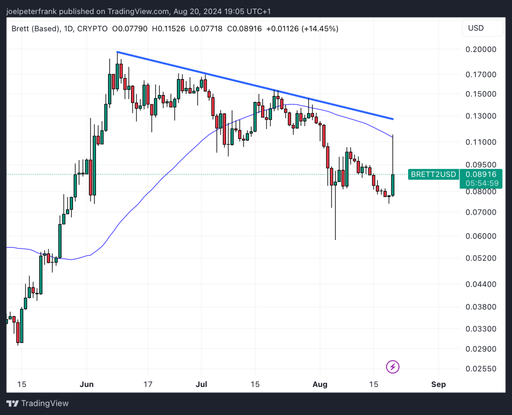 Top Cryptocurrency Performers Today – Brett, BitTorrent, dogwifhat2