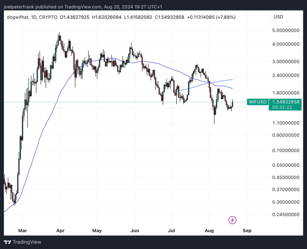 Top Cryptocurrency Performers Today – Brett, BitTorrent, dogwifhat4
