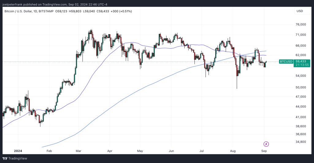 Top Cryptocurrency Performers Today on DEXScreener – VISTADOGS, MPIG, VISTA0