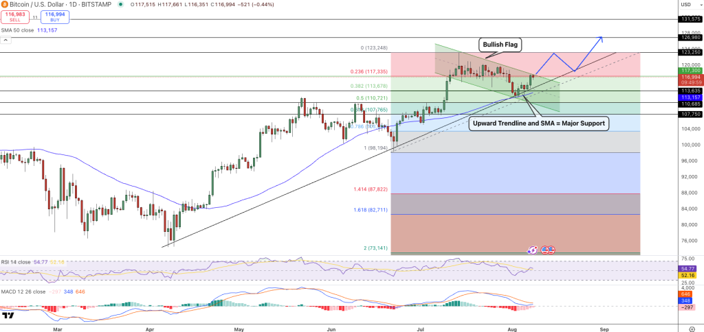 Traders Suggest "Fakeout" Indicates Positive Trend for Bitcoin Price – Anticipation of New Record Highs2