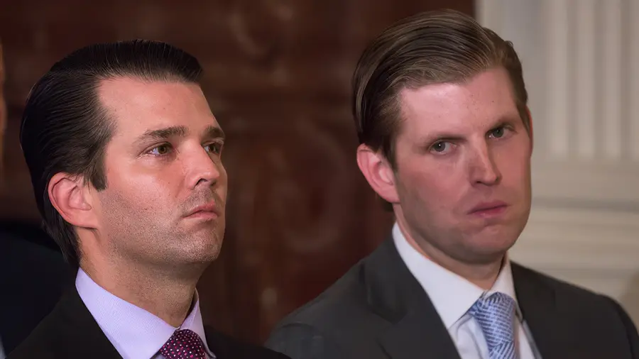 Дети Трампа объявили биткоин альтернативой доллару Дети Трампа объявили биткоин альтернативой доллару0