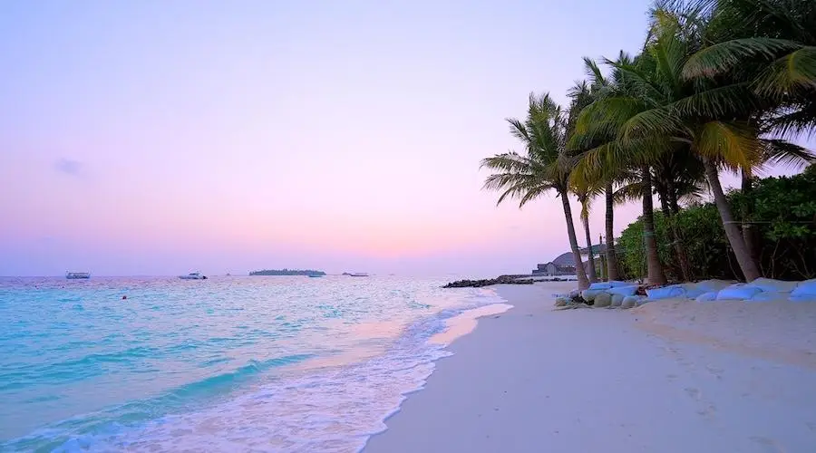 Компания Трампа токенизирует доходы строящегося курорта на Мальдивах0