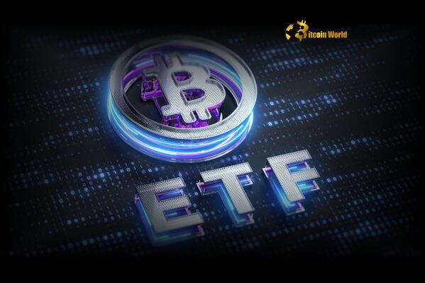 Unexpected Shift: US Spot Bitcoin ETFs Experience $347 Million in Withdrawals0