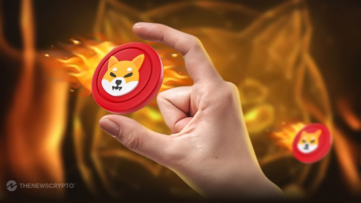 Unprecedented Week for Shiba Inu: 6500% Burn Rate Achieved in 24 Hours and Additional Developments0