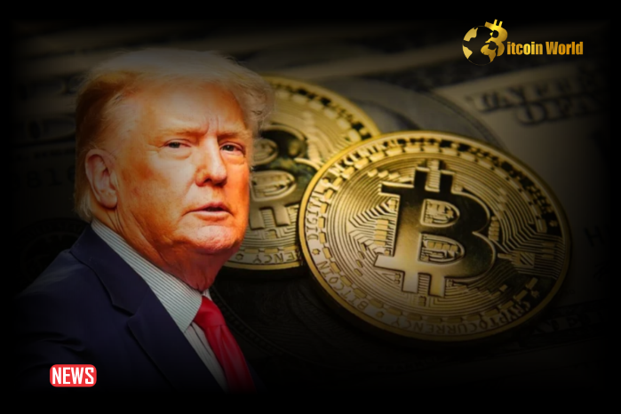 US Presidential Candidate Donald Trump Claims China's Dominance in Cryptocurrency Competition; Announces Upcoming NFT Release with Details Provided.0