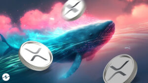 Whales Purchase More Than 146 Million XRP Following Recent Events0