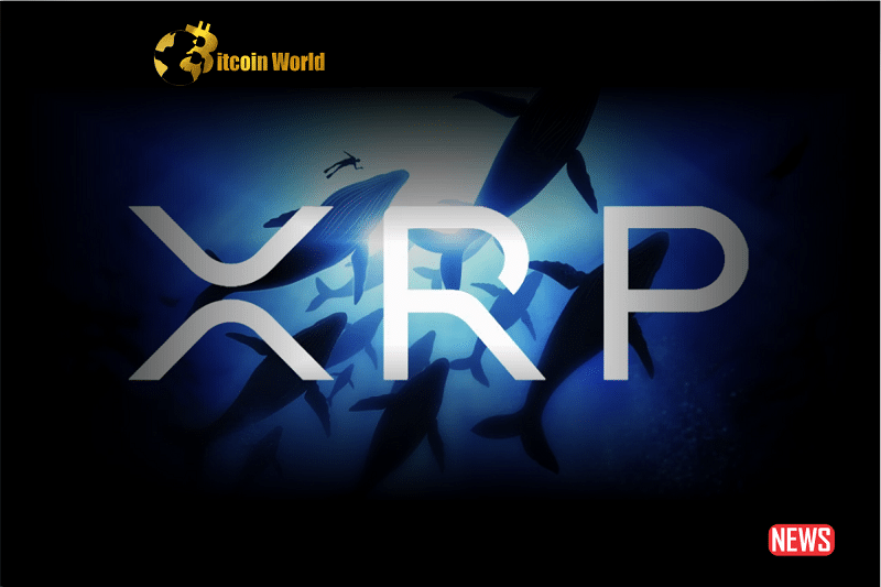 Whales Support XRP Surge, $1 Goal Approaches0