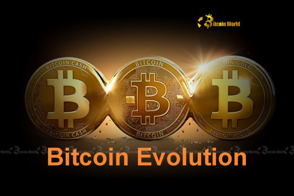 A New Trading Trend Develops in Bitcoin's Remarkable Progression0