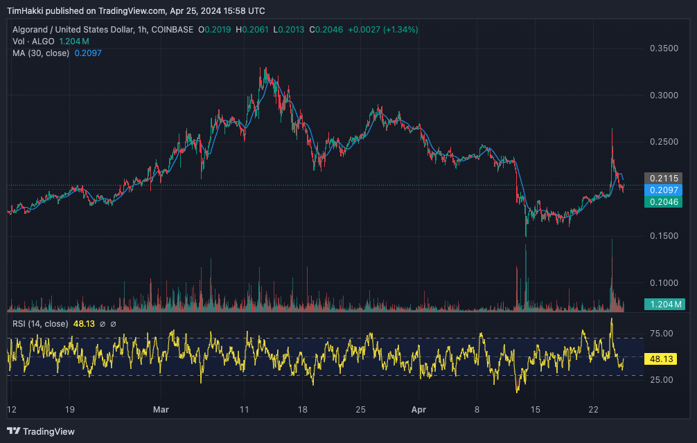 Algorand's Value Surges as Anticipation Grows for New Meme Coin Following $15 Million Fundraising Effort0