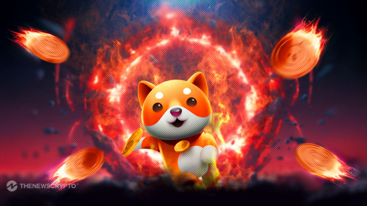 BABYDOGE Creates Potential for Increased Demand, How?1