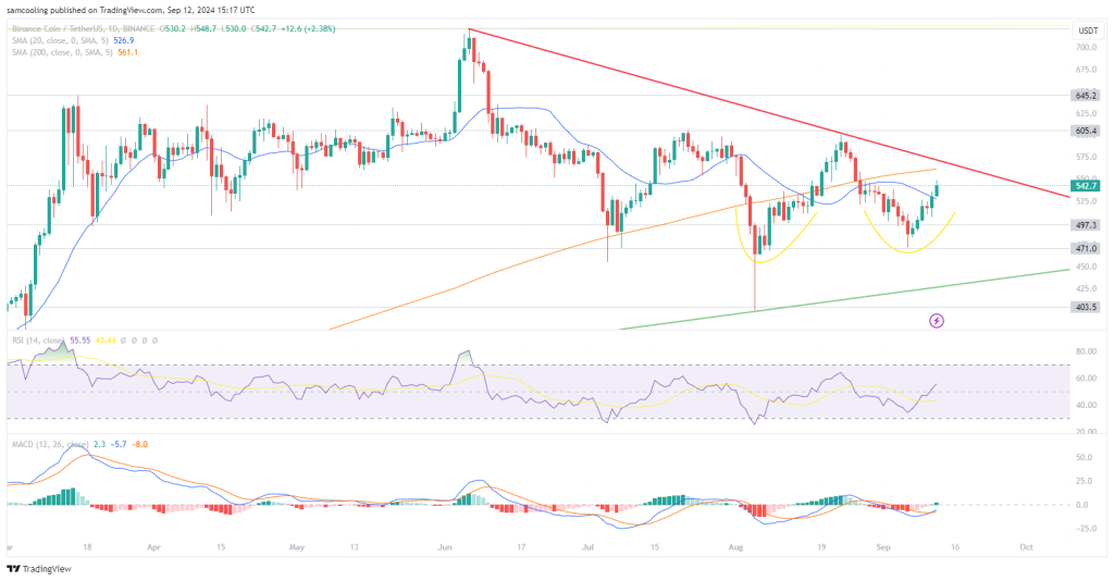 Binance Coin Experiences $1 Billion Inflow – Is This the Beginning of a Year-End Surge?1