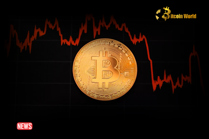 Bitcoin (BTC) Price Drops: Current Trends and Recent Liquidation Information0