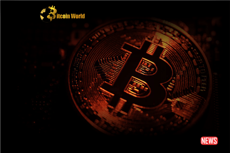 Bitcoin Decline Anticipated Ahead of Halving: Is Further Decrease Likely in September?0