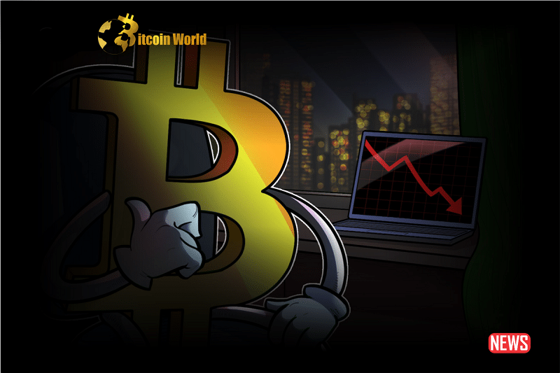 Bitcoin Encounters New Drop, Finding It Difficult to Surpass Resistance at $26,5000