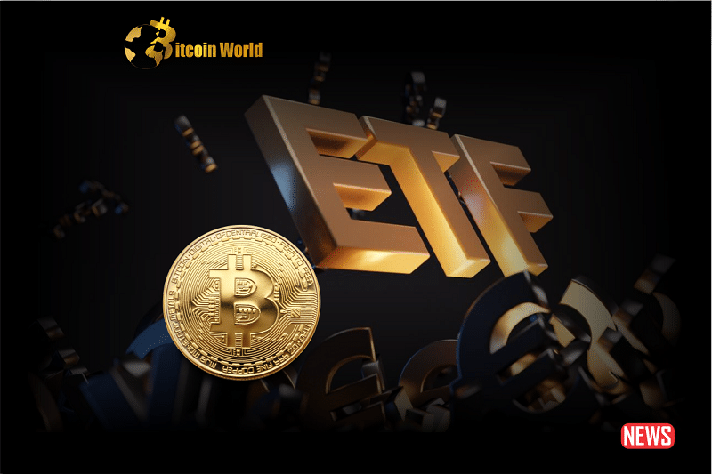 Bitcoin ETFs Encounter Challenges as SEC Chair Raises Concerns Over Fraud and Market Manipulation0