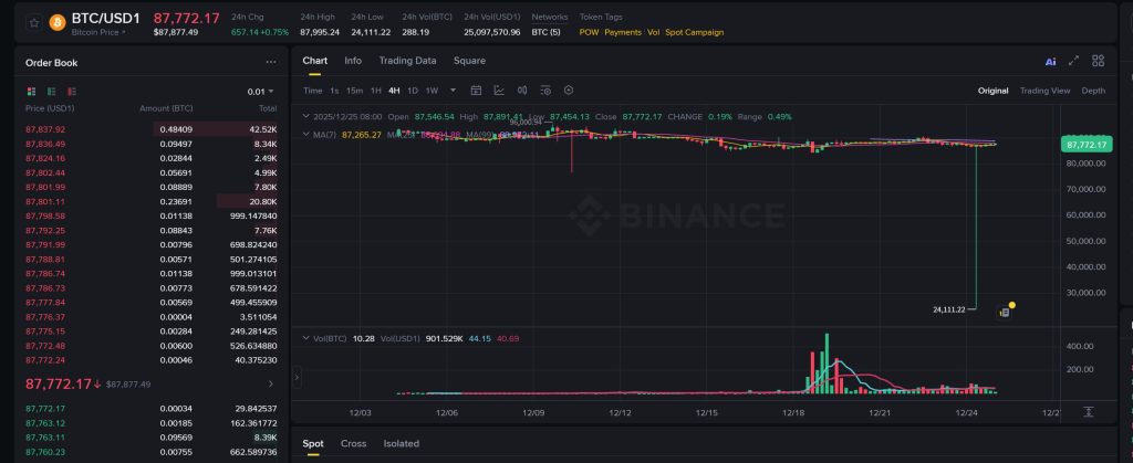 Bitcoin Experiences Sudden Drop to $24K on Binance USD1 Pair0