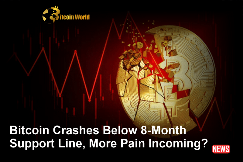 Bitcoin Falls Below Key 8-Month Support Level, Further Declines Anticipated?0