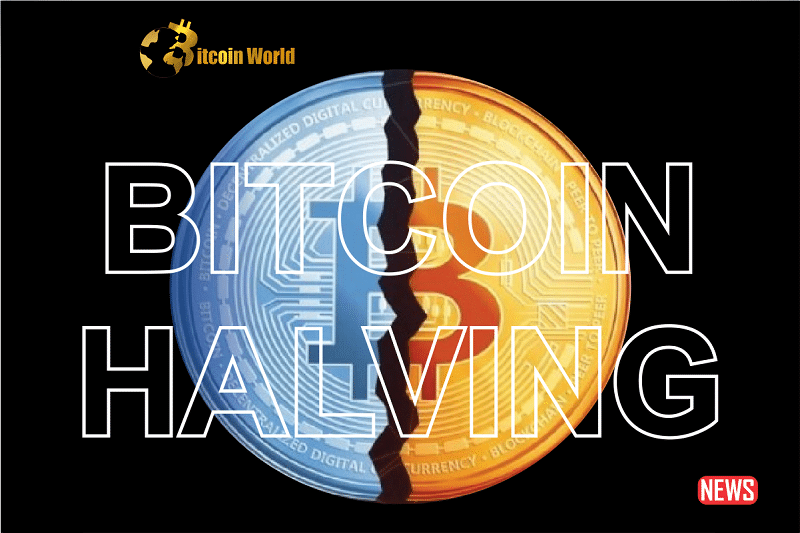 Bitcoin Halving 2024: Approaches for Miners in Response to Changing Conditions0