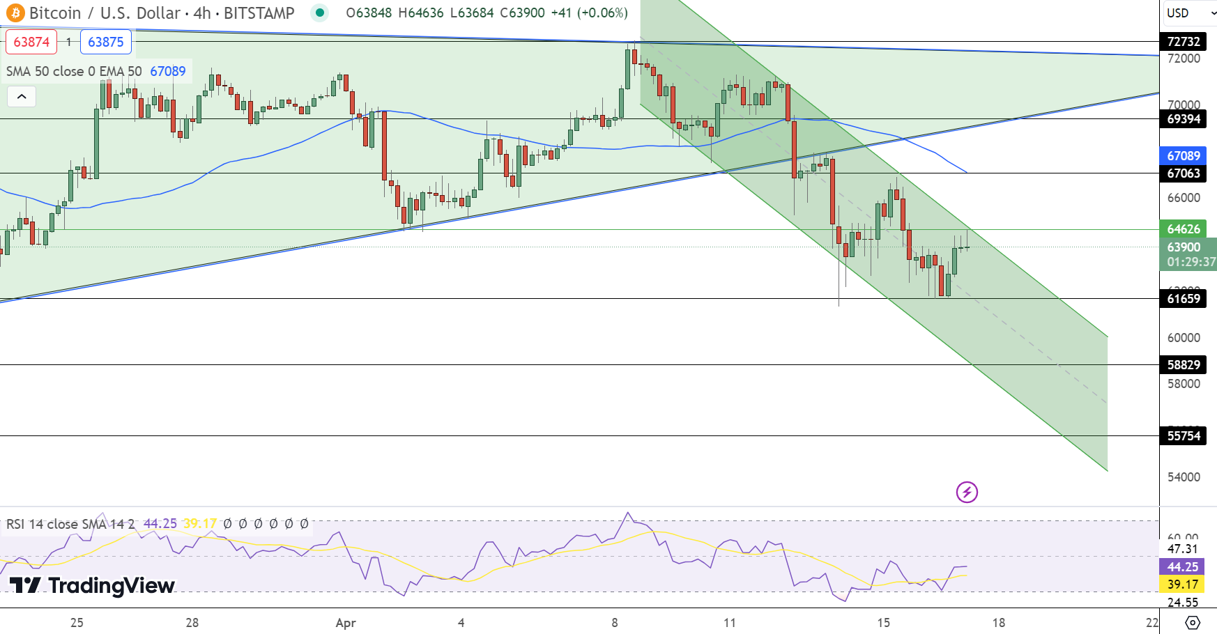 Bitcoin Price Forecast Amidst $40 Billion Trading Volume – Were Whales Accumulating During the Dip?2
