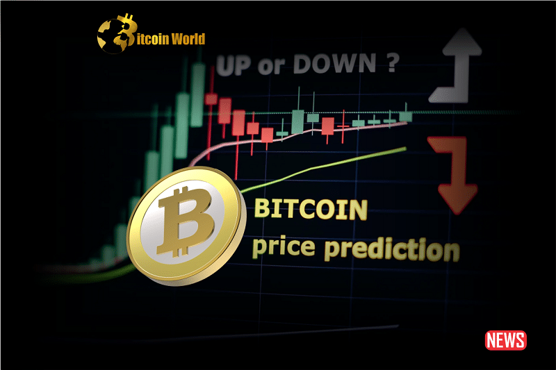 Bitcoin Price Forecasts: Insights from Experts and a Look Ahead0