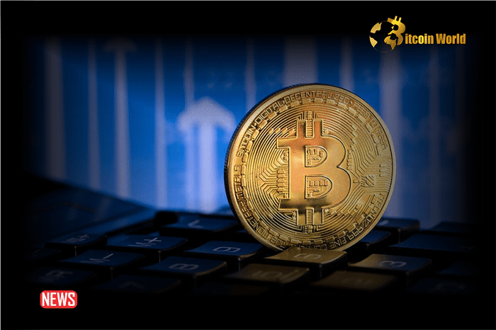 Bitcoin Reaches $70,000 Before Declining, FLOKI Surges 111% Over the Week0