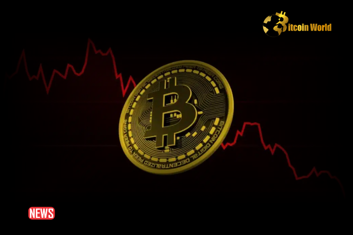 Bitcoin Value Drops Below Key Support Level, Set to Approach $54,000 – Analyst0
