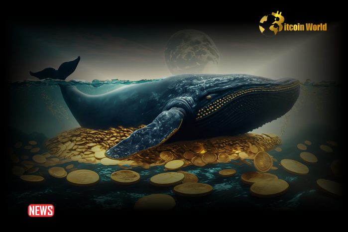 Bitcoin Whales Increasing Holdings as BTC Value Rises to $67,0000