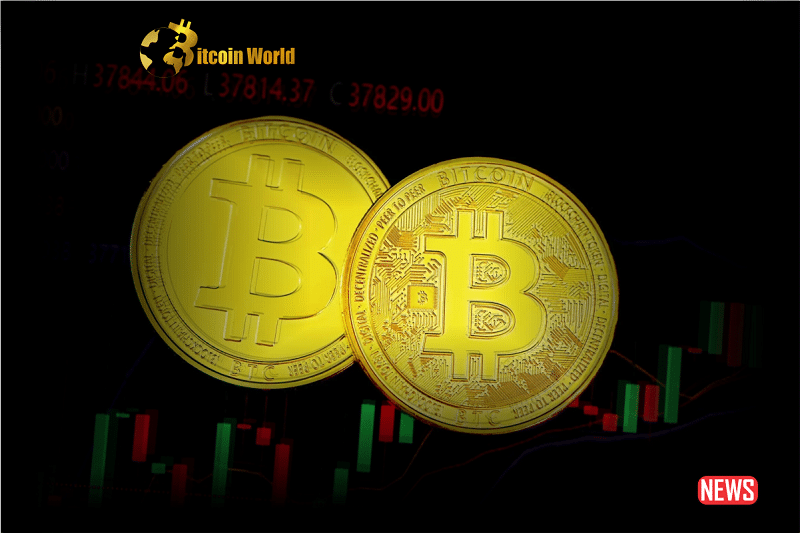 Bitcoin's Active Addresses Reach Five-Month Peak, While Trading Volume Stays Consistent.0