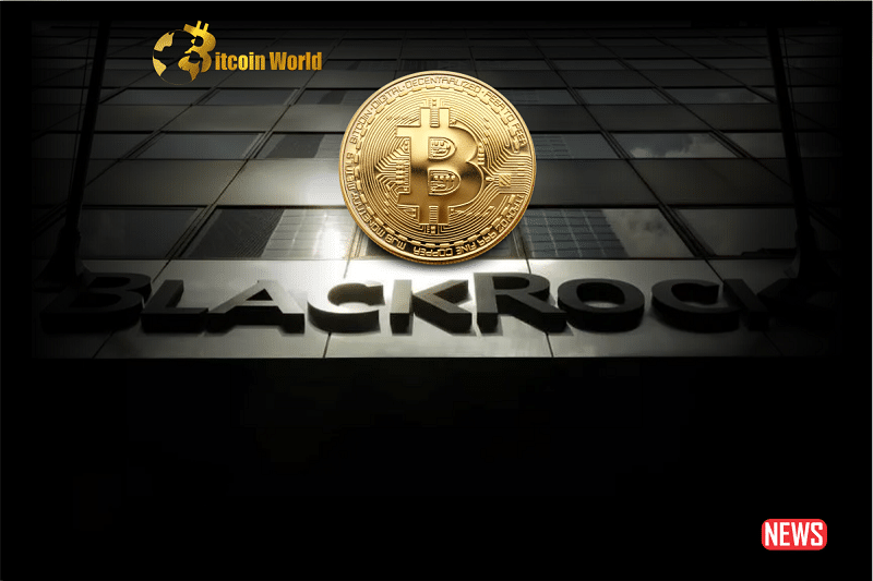 BlackRock Enhances Credibility of Bitcoin's Presence in the Market0