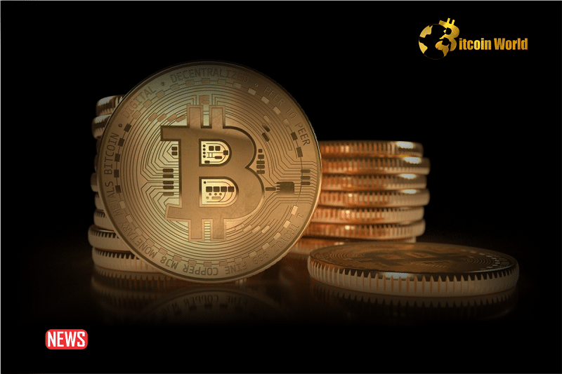 Can Cryptocurrency Help Tackle Global Income Disparity?0