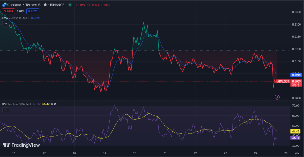 Cardano (ADA) Prepares for Mithril Mainnet Update: What to Expect?1