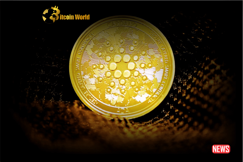 Cardano Investors Continue Accumulating During Market Downturn: Is a Surge in ADA Imminent?0