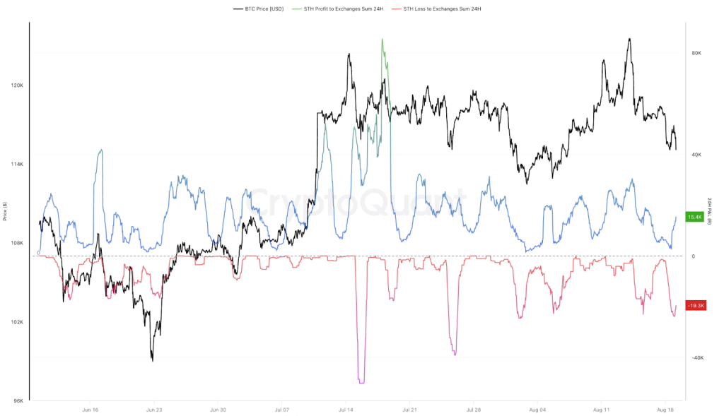 Cardone Capital Expands Bitcoin Investment with Acquisition of 130 BTC – Aiming for 4,000 Coins by Year-End1