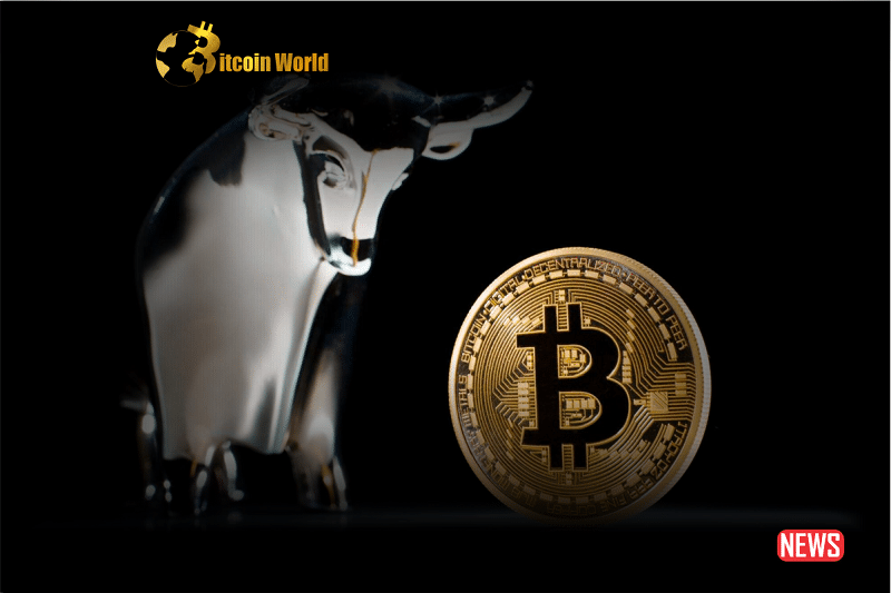 Caution for Bitcoin Investors: Expert Alerts to Potential Sub-$20,000 Situation and Extended Downturn Period0